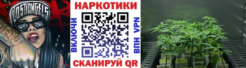 Бошки Шишки Юрга