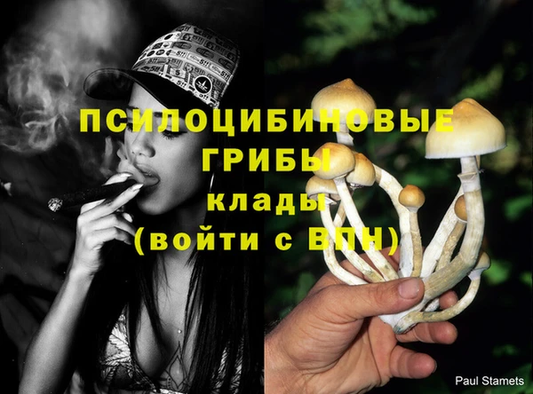 сатива Навашино