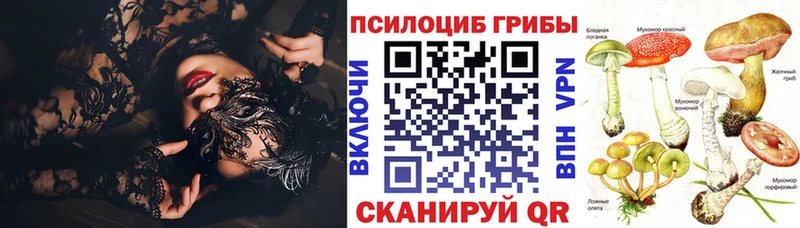 Галлюциногенные грибы Magic Shrooms  Купить закладки  Юрга 